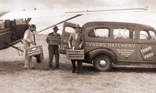 Poultry Delivery by Airplane