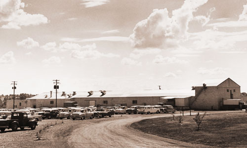 Randall Road Plant